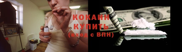 гидра Алексин