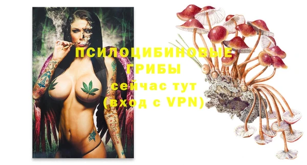 герыч Алексеевка